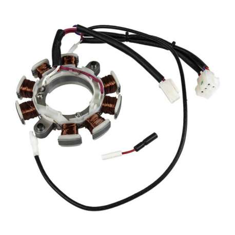 CHS MTD pièces détachées : Coil Assy. Charge / Référence : 100009448